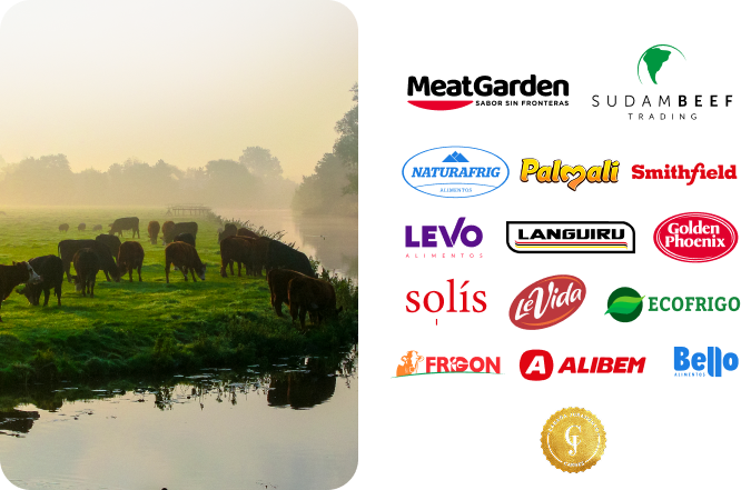 Imagen Meatfood
