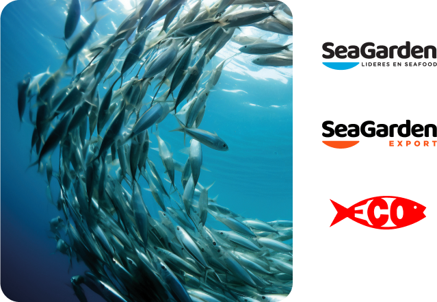 Imagen Seafood